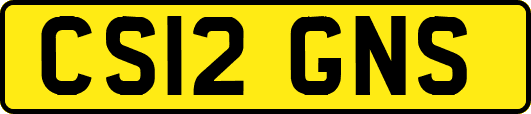 CS12GNS