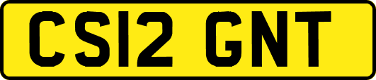 CS12GNT