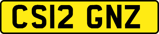 CS12GNZ