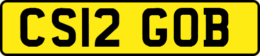 CS12GOB