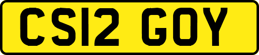 CS12GOY