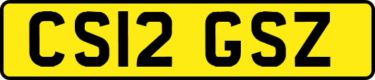 CS12GSZ