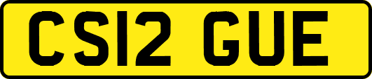 CS12GUE