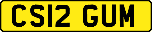 CS12GUM
