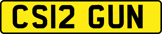 CS12GUN