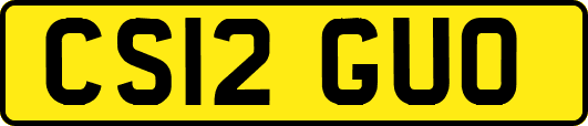 CS12GUO