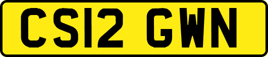 CS12GWN