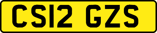 CS12GZS