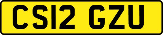 CS12GZU