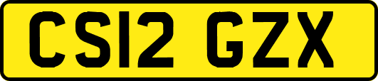 CS12GZX