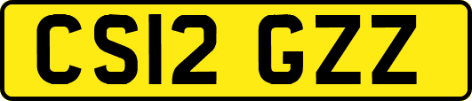 CS12GZZ