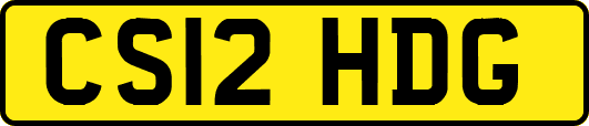 CS12HDG