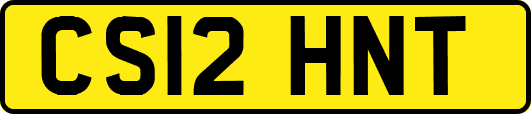 CS12HNT