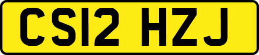 CS12HZJ