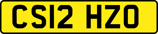 CS12HZO