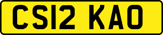 CS12KAO