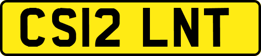 CS12LNT