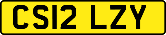 CS12LZY