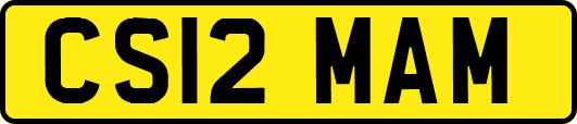 CS12MAM
