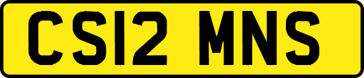 CS12MNS