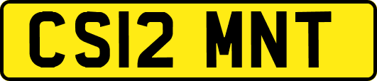CS12MNT