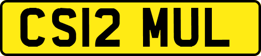 CS12MUL