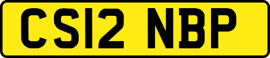 CS12NBP