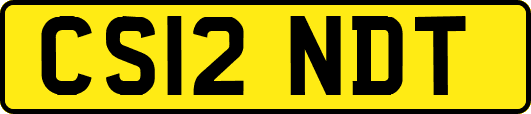 CS12NDT