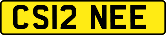 CS12NEE