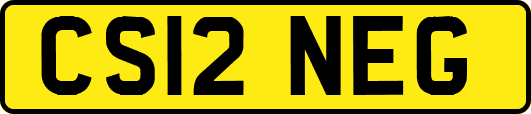 CS12NEG