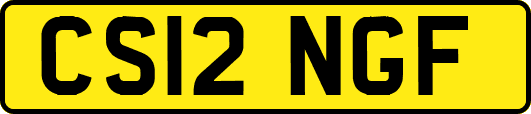 CS12NGF