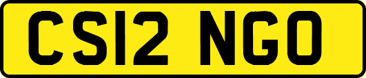 CS12NGO
