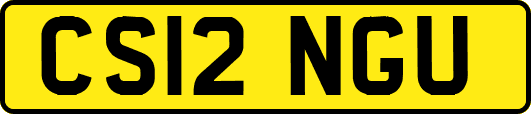 CS12NGU