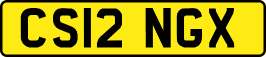 CS12NGX