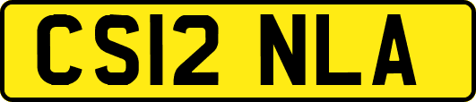 CS12NLA