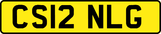 CS12NLG