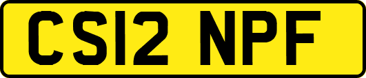 CS12NPF