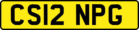 CS12NPG