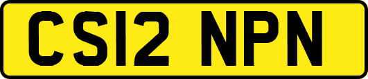 CS12NPN