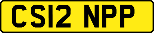 CS12NPP