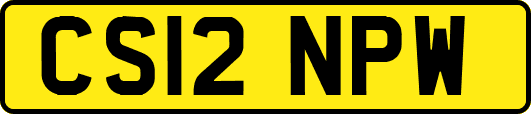 CS12NPW