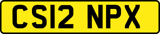 CS12NPX
