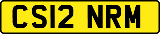 CS12NRM
