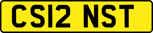 CS12NST