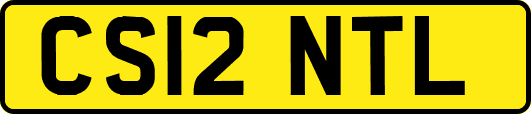 CS12NTL
