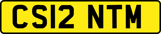CS12NTM