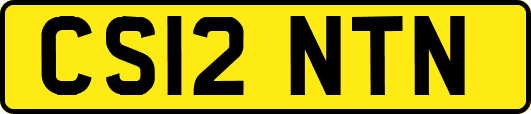 CS12NTN