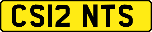 CS12NTS