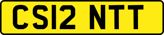CS12NTT