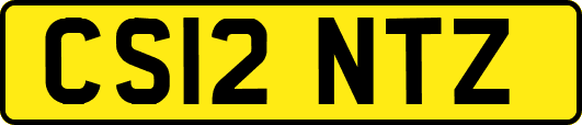 CS12NTZ